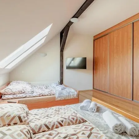 Large, Comfortable With A Garden Zatom